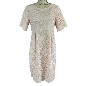 Mikarose Overlay Dress Sz Medium Soft Pink Floral Crochet Lace Romantic Zip Back